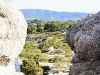 20140721 -23 forcalquier lepage (41)